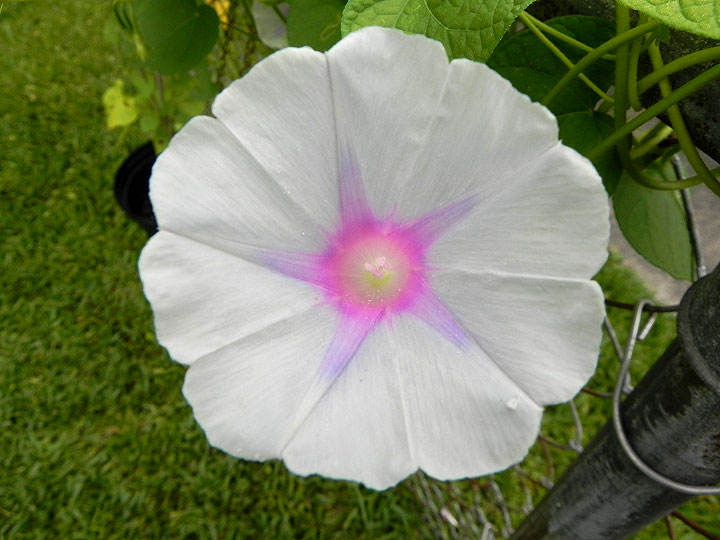 DSCN5676_01