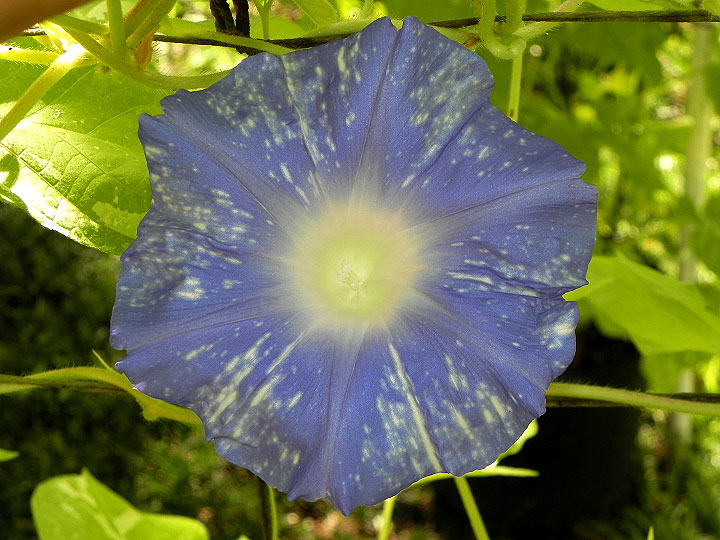 DSCN5775_01