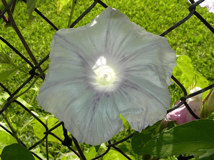 DSCN5801