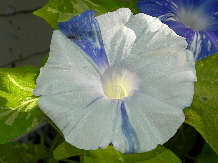 DSCN6367