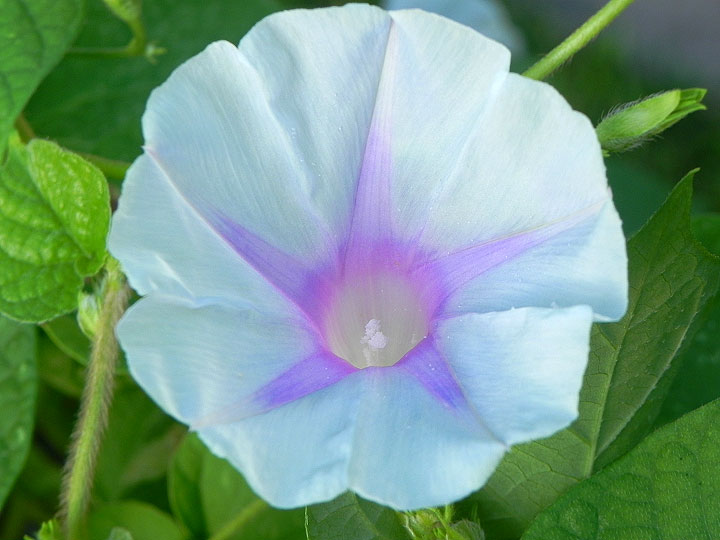 DSCN6443_01