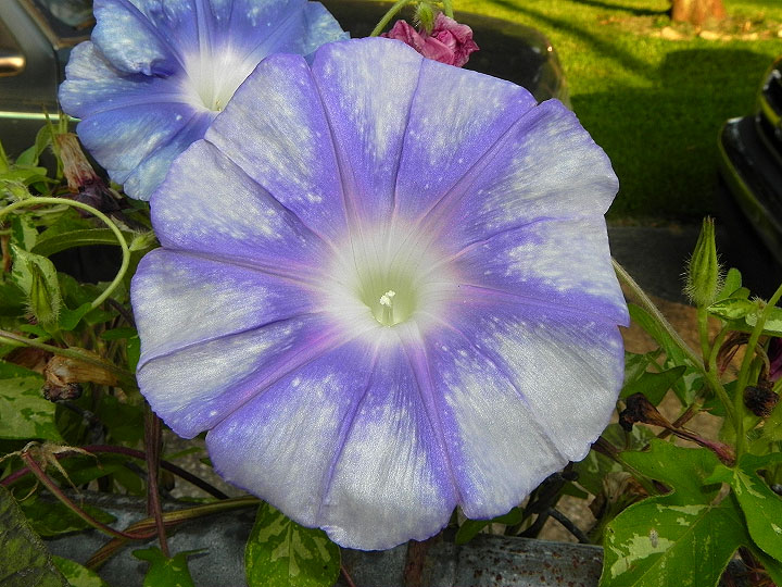 DSCN6638