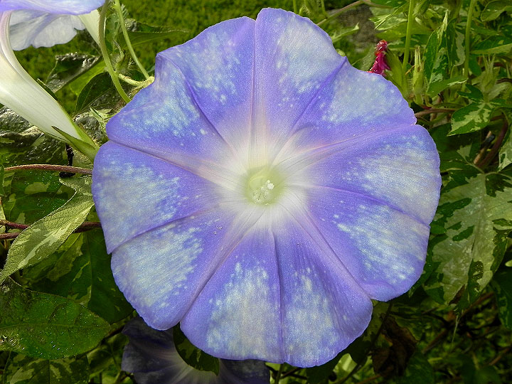 DSCN7227