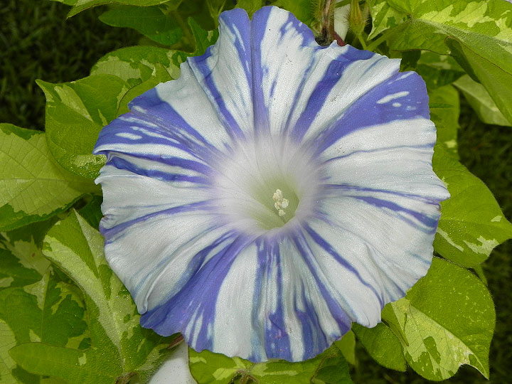 DSCN7259