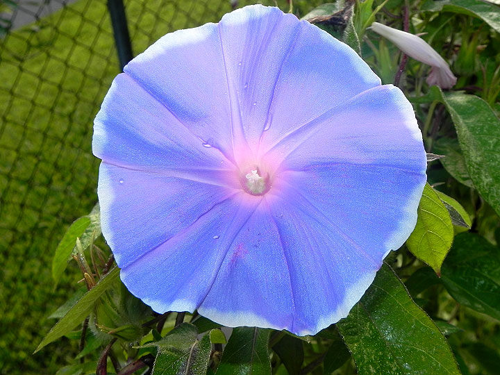 DSCN7468
