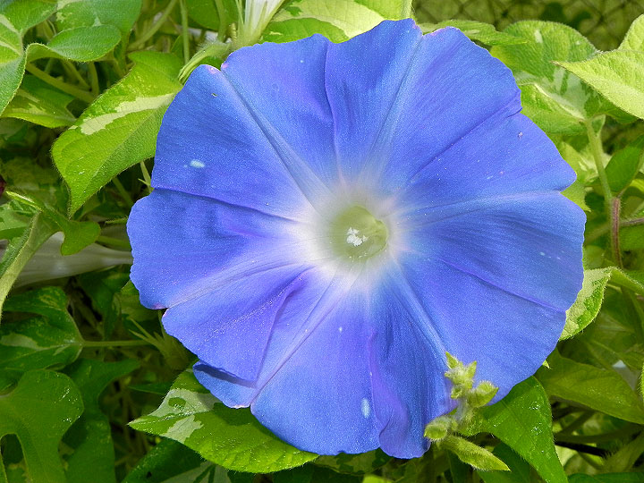 DSCN7482