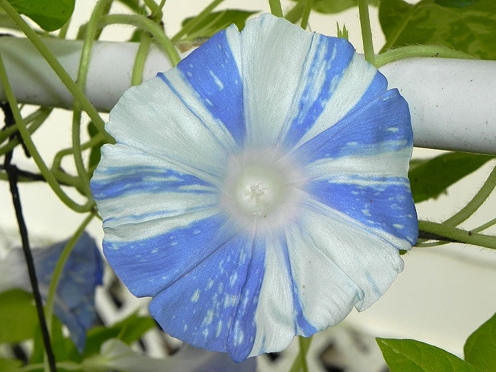 DSCN7740