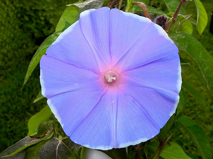 DSCN7760