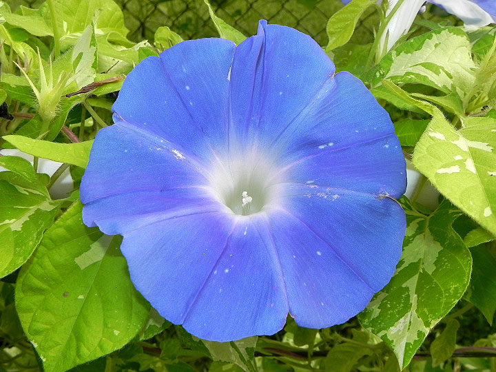 DSCN7770