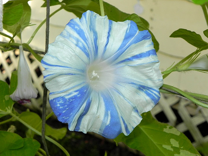 DSCN8015