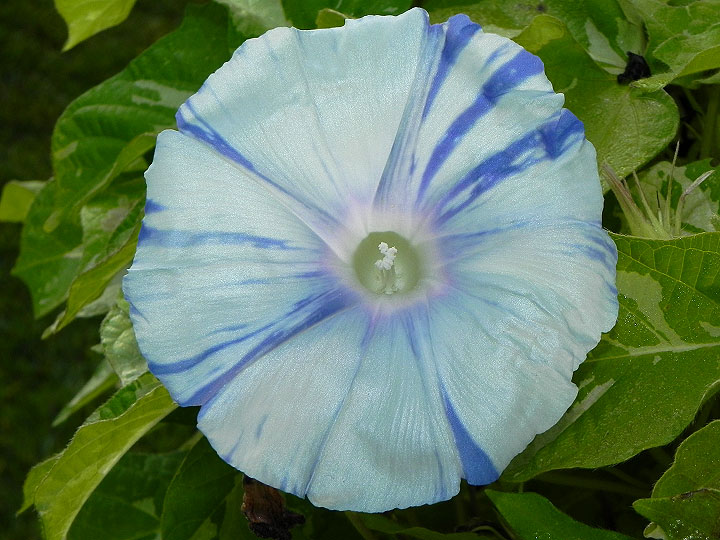 DSCN8230