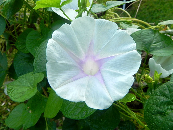 DSCN8341