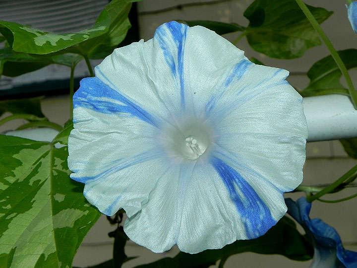 DSCN8349