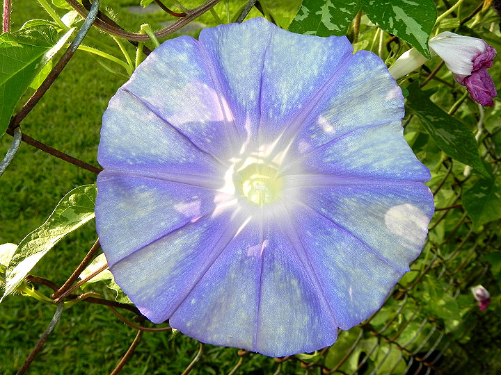 DSCN8358