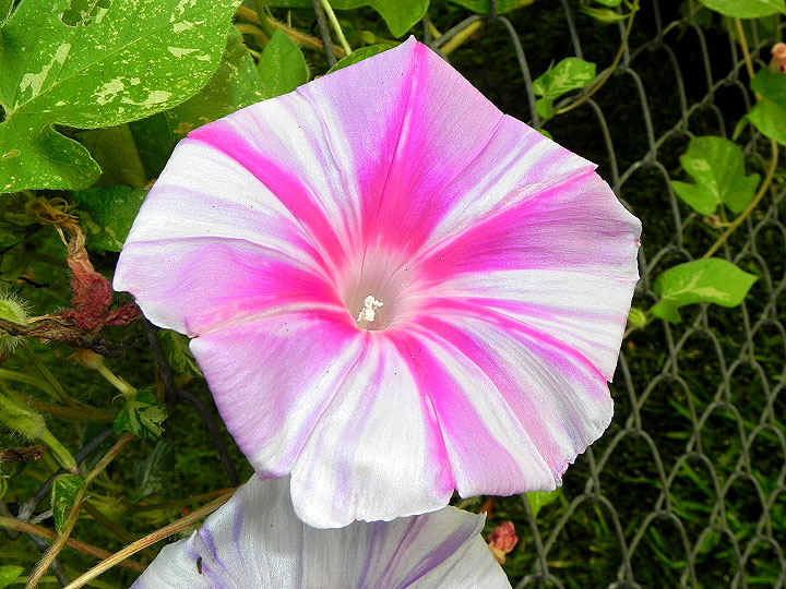 DSCN8840