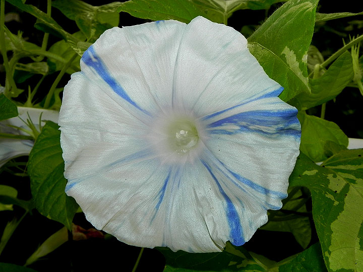 DSCN8968