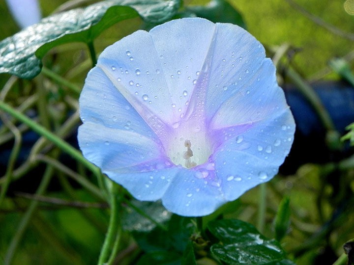 DSCN9246