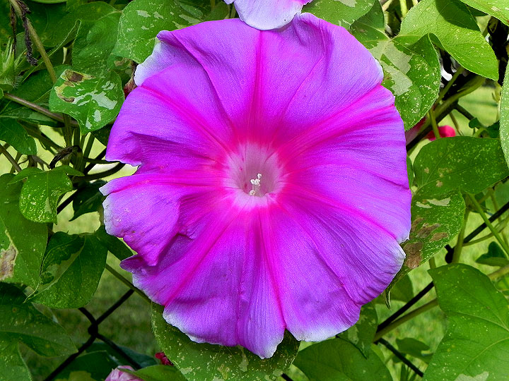 DSCN9263