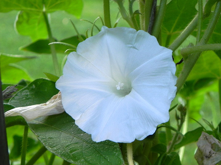 DSCN9543