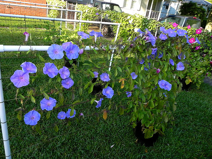 DSCN9642