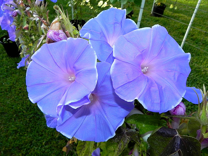 DSCN9643