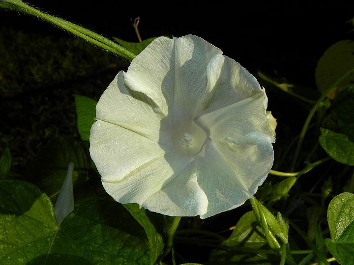 DSCN9695