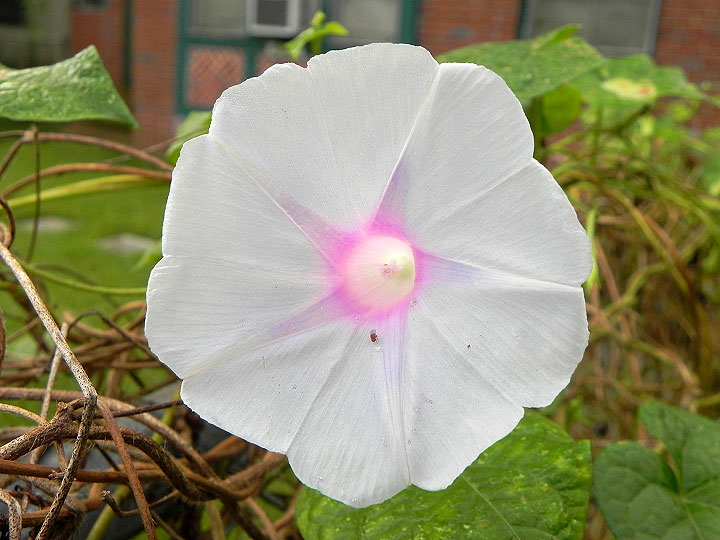 DSCN9703