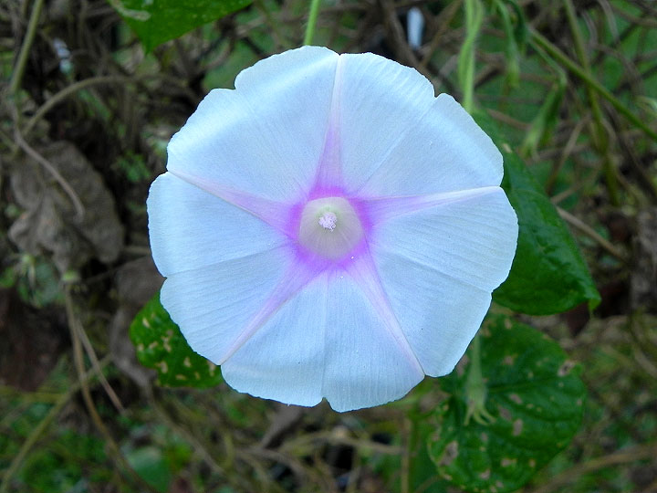 DSCN9795