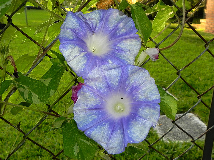 DSCN9976