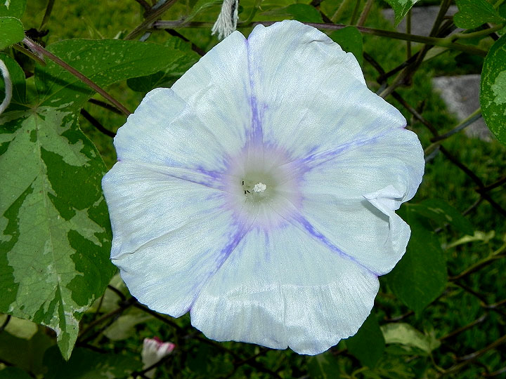 DSCN9977