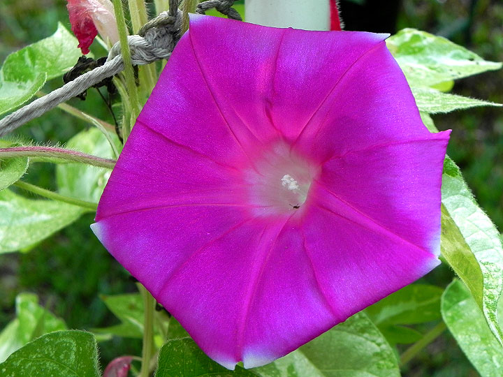 42e-DSCN0990