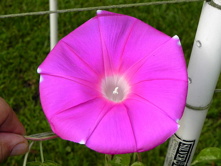 42e-DSCN1267