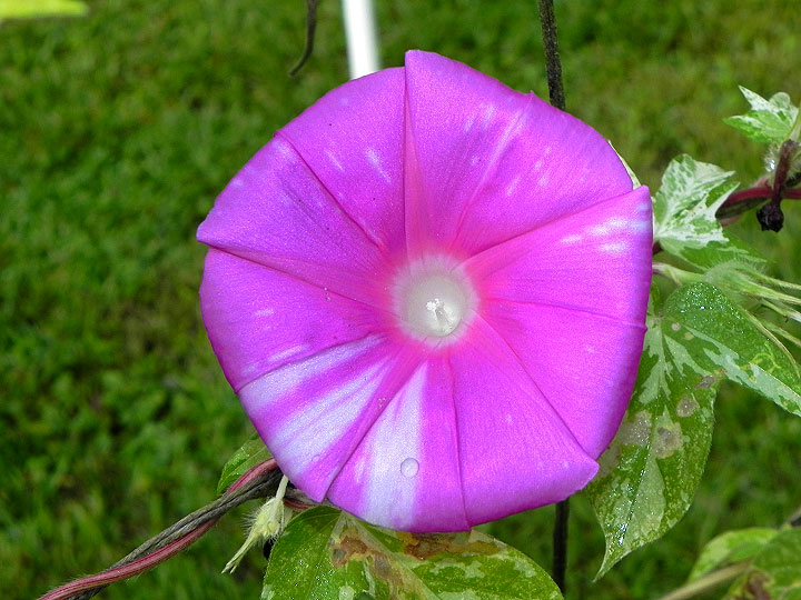 42e-DSCN2869