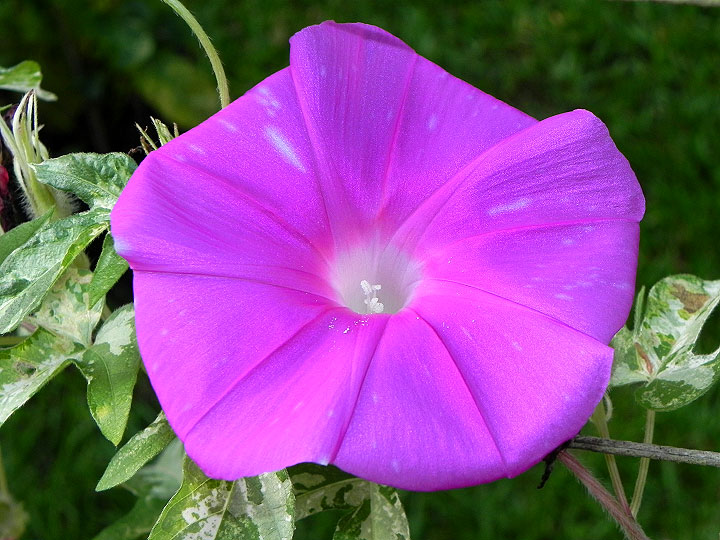 42e-DSCN4612