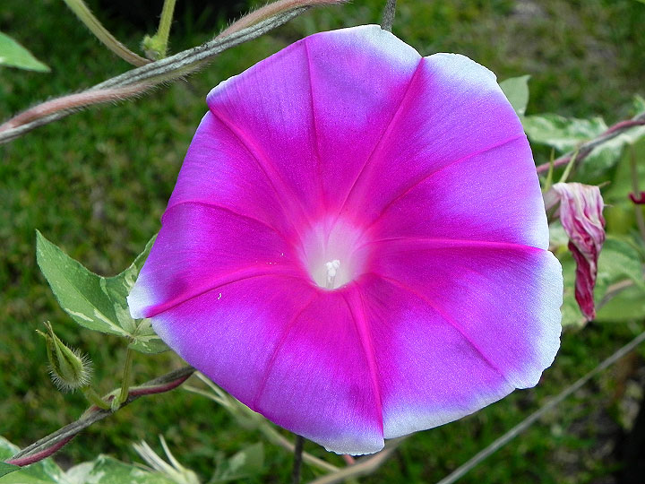 42e-DSCN8909