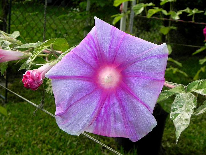 5-42e-DSCN7103