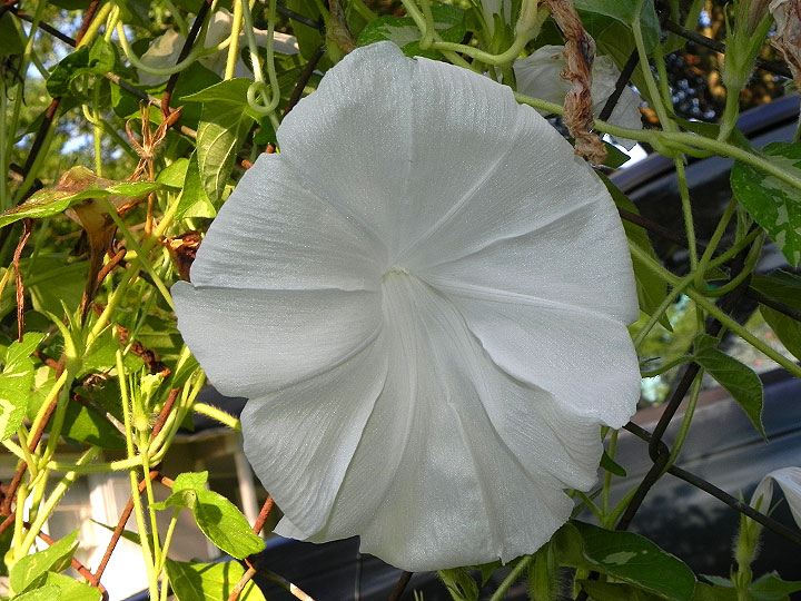 DSCN0004