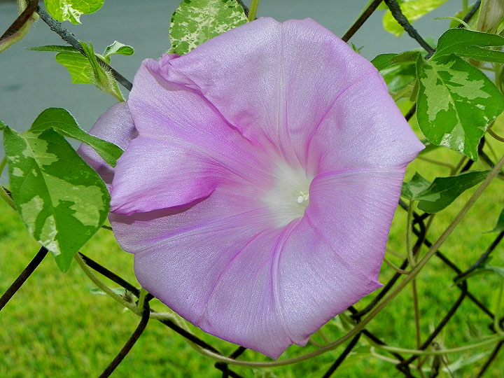 DSCN0010