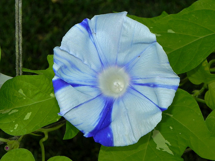 DSCN0058