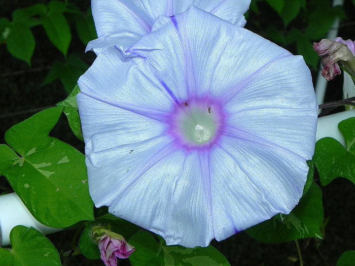 DSCN0066