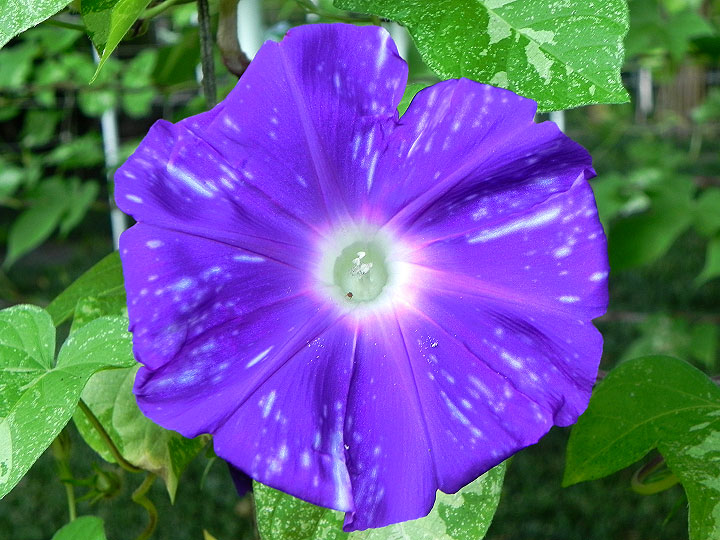 DSCN0068