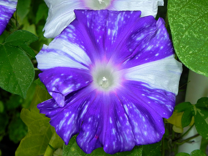 DSCN0070