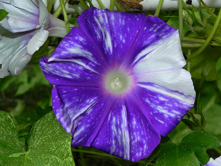 DSCN0071