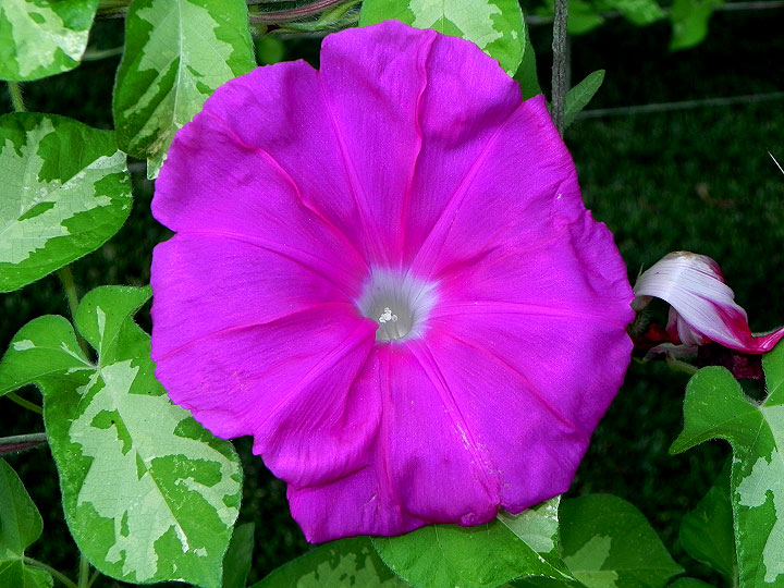 DSCN0074