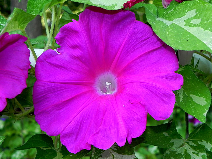 DSCN0075