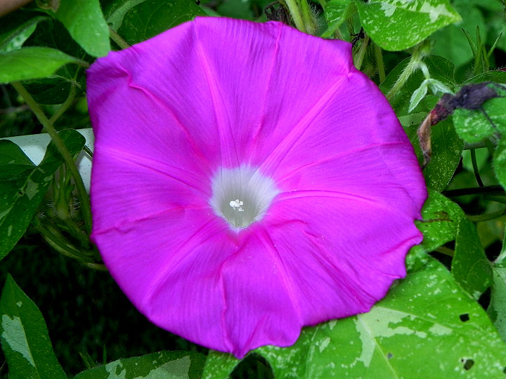 DSCN0076