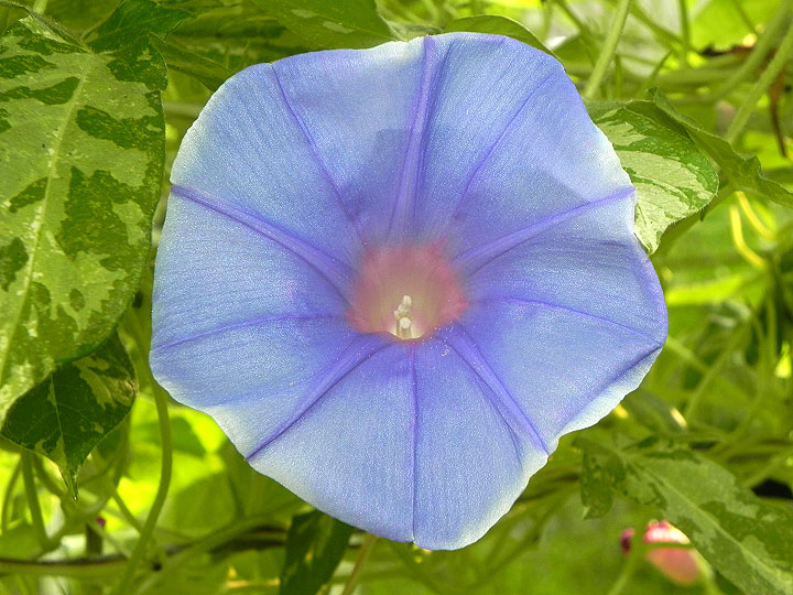 DSCN0101