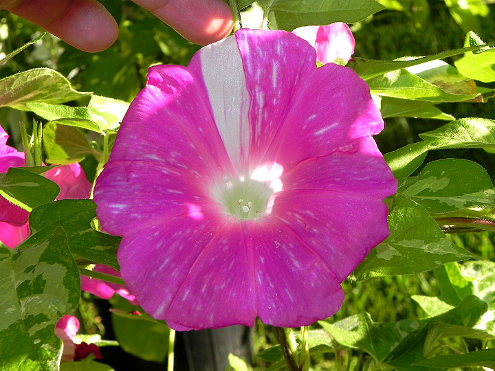 DSCN0123