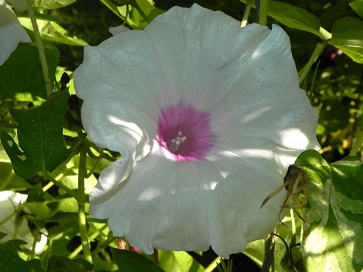 DSCN0138