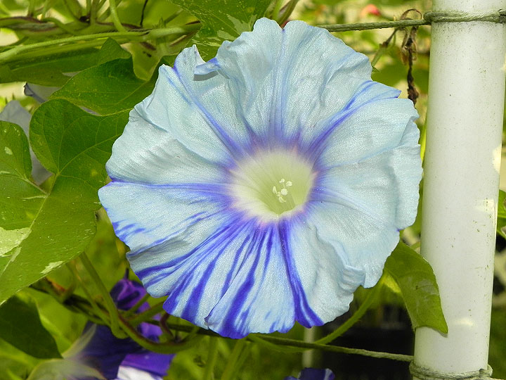 DSCN0141